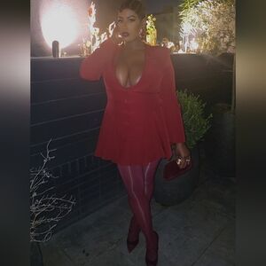 Elegant Burgandy Dress